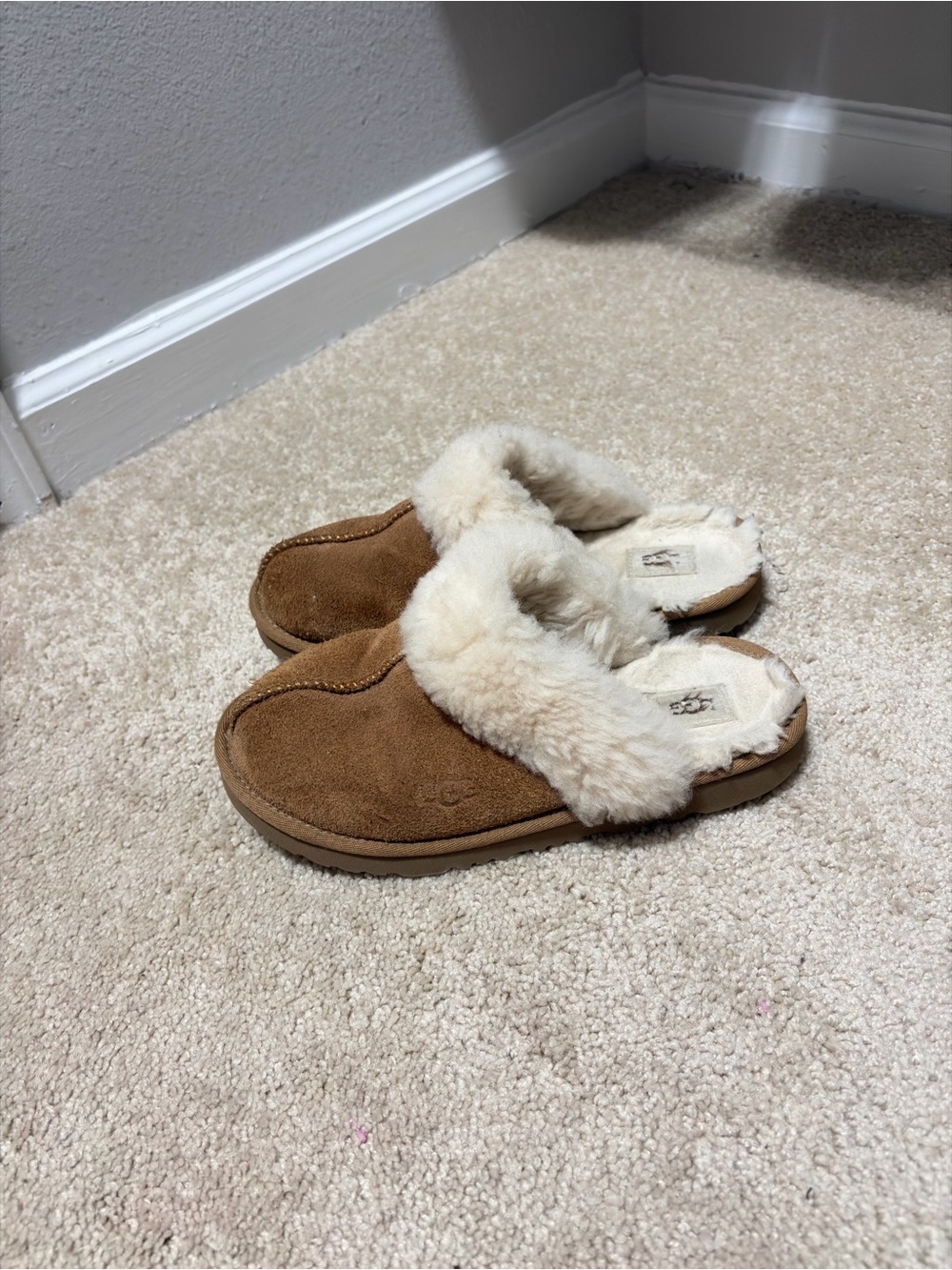 UGG Slippers